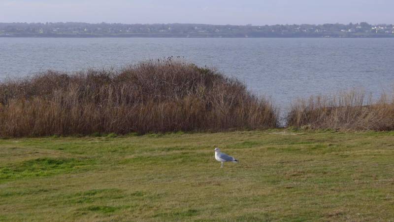USA_2011-11-27 14-04-23